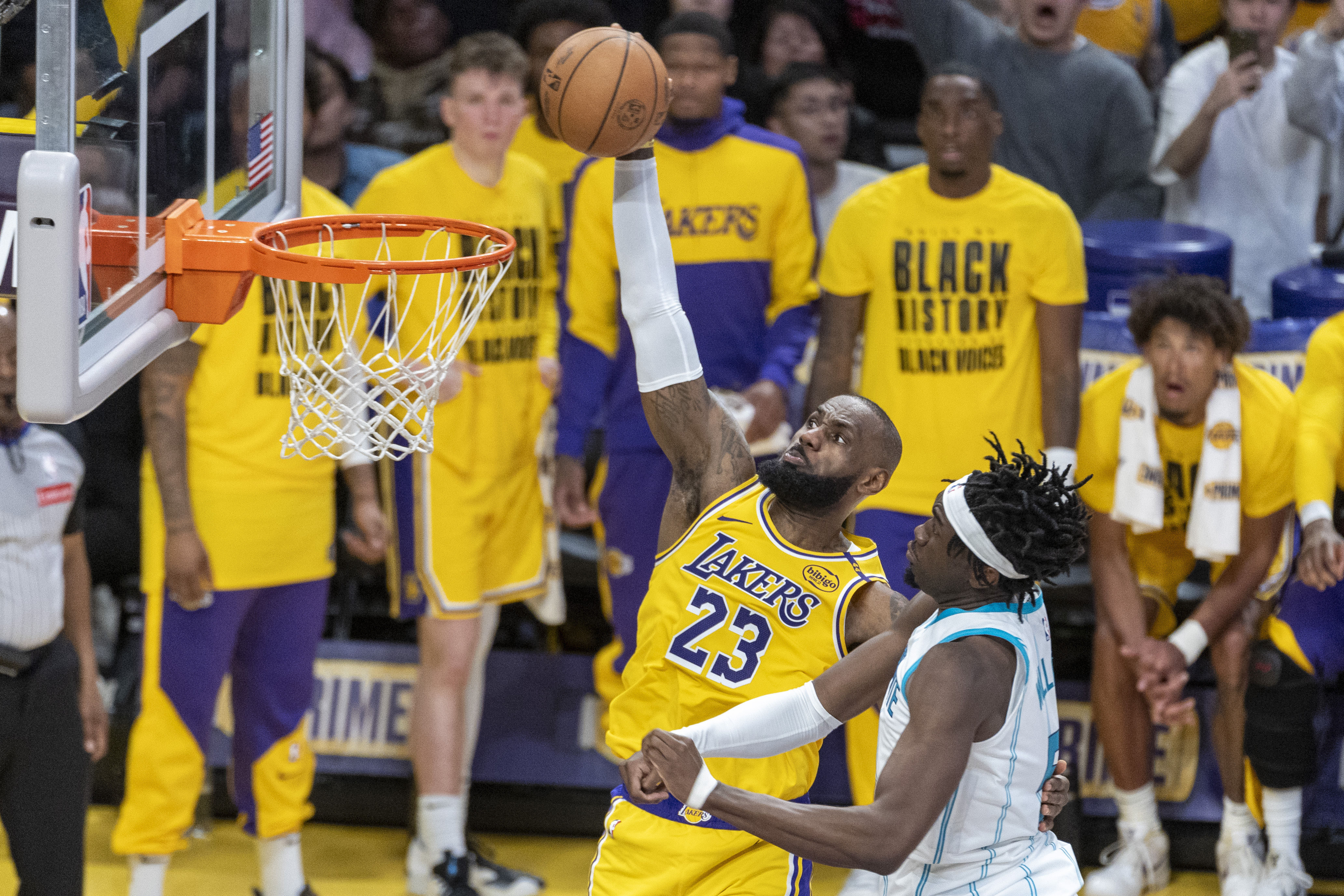 开云体育入口-凯尔特人绝杀湖人，拉文点燃赛场