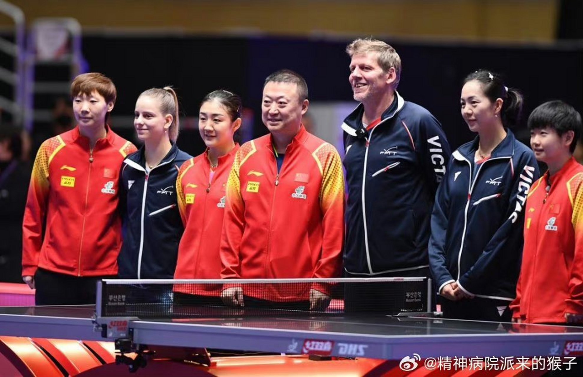 法国队完胜中国队，马琳统治全场