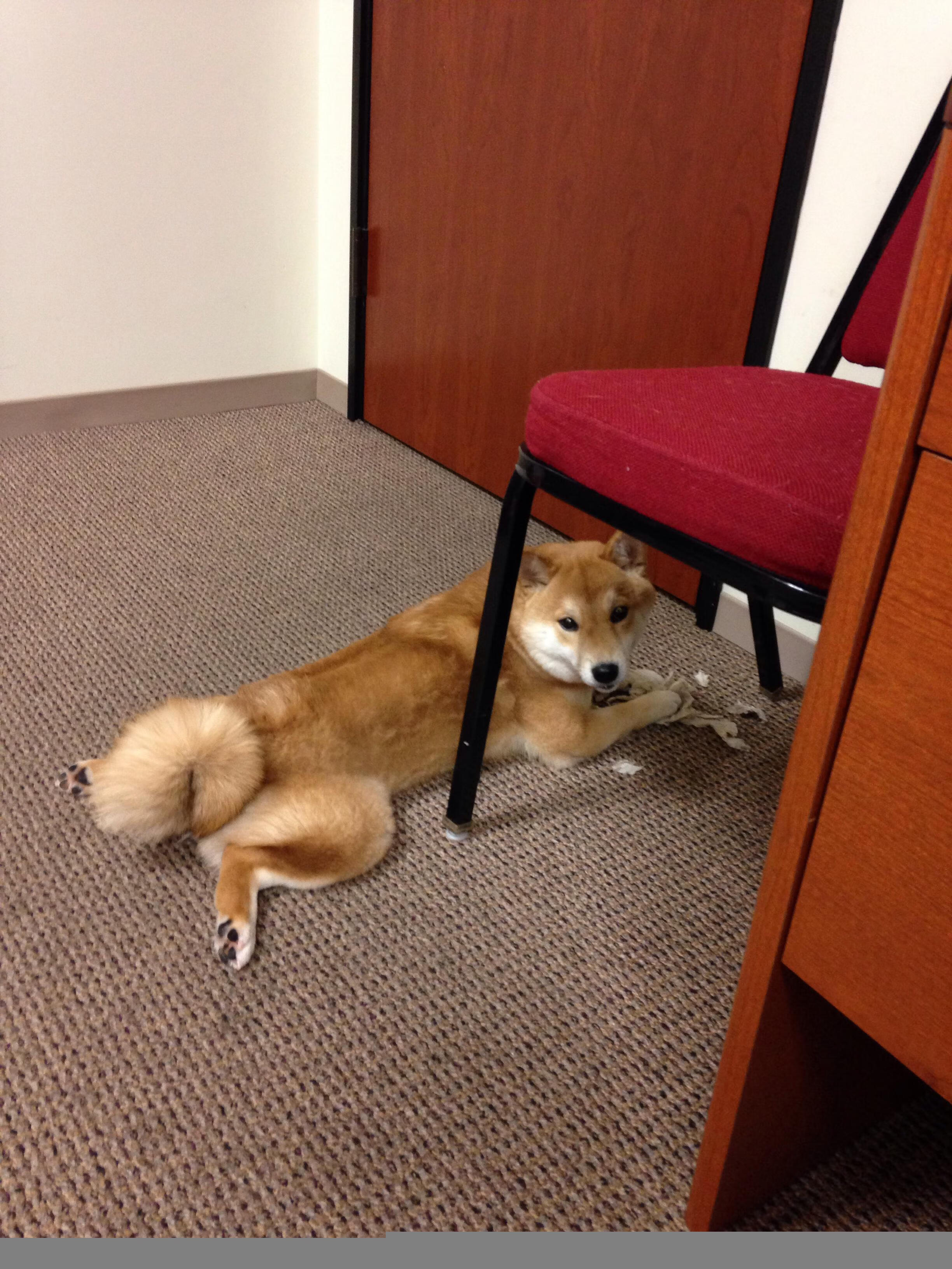 平凡处见惊雷,托尼一锤定音,芬兰四两拨千斤轻取厄瓜多尔