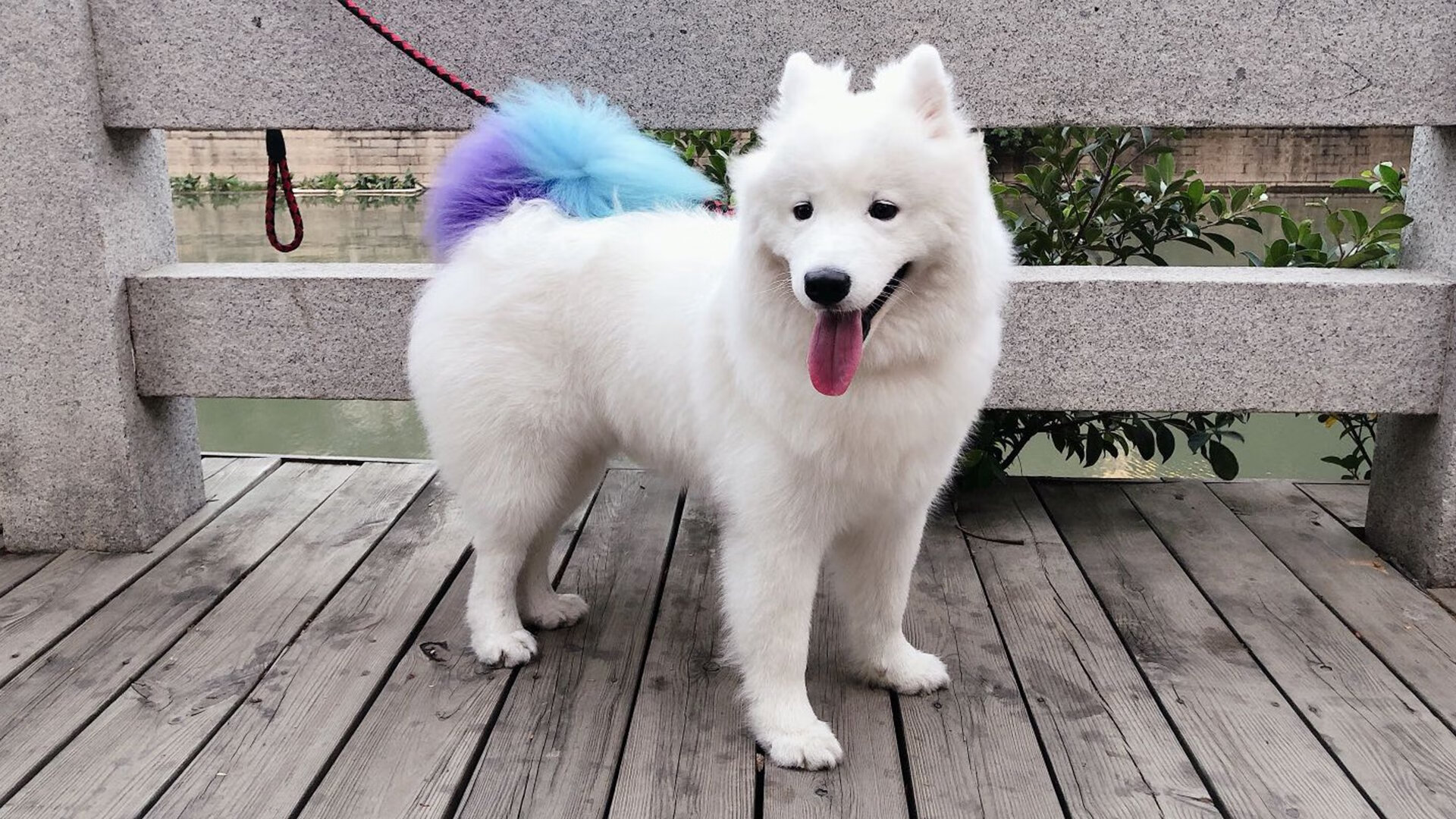 迪亚斯一剑封喉！尤文补时绝杀智利，演绎绿茵唯一性