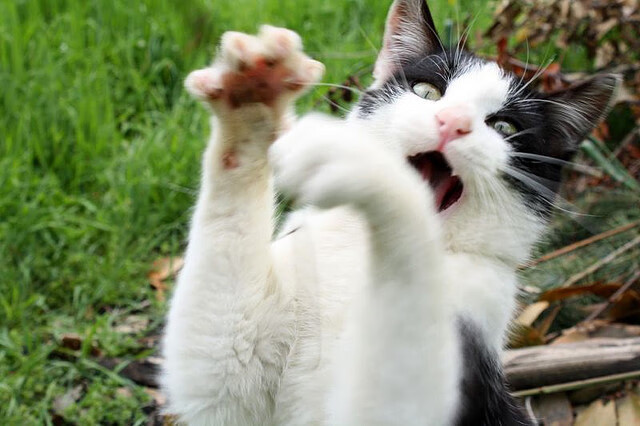 石中剑出鞘,斯通斯在欧冠决赛之夜的沉默主宰