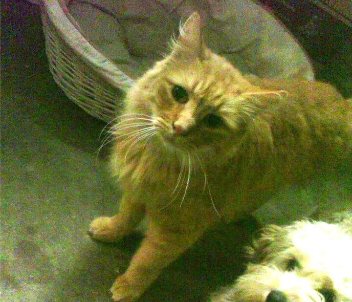 开云体育官网-冰与火之歌，克莱绝境绽放三分雨，快船苦战力克吉林奏响救赎乐章