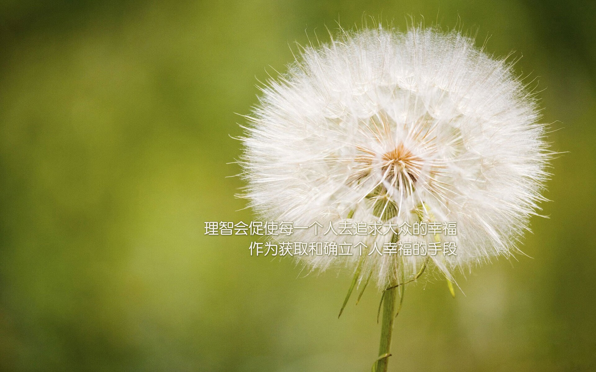 桑巴军团欧冠式突围！生死战3-1力克马竞式防线，内马尔导演逆转