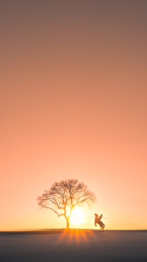 不是昙花一现，欧文一剑封喉，德甲争冠夜见证新王诞生