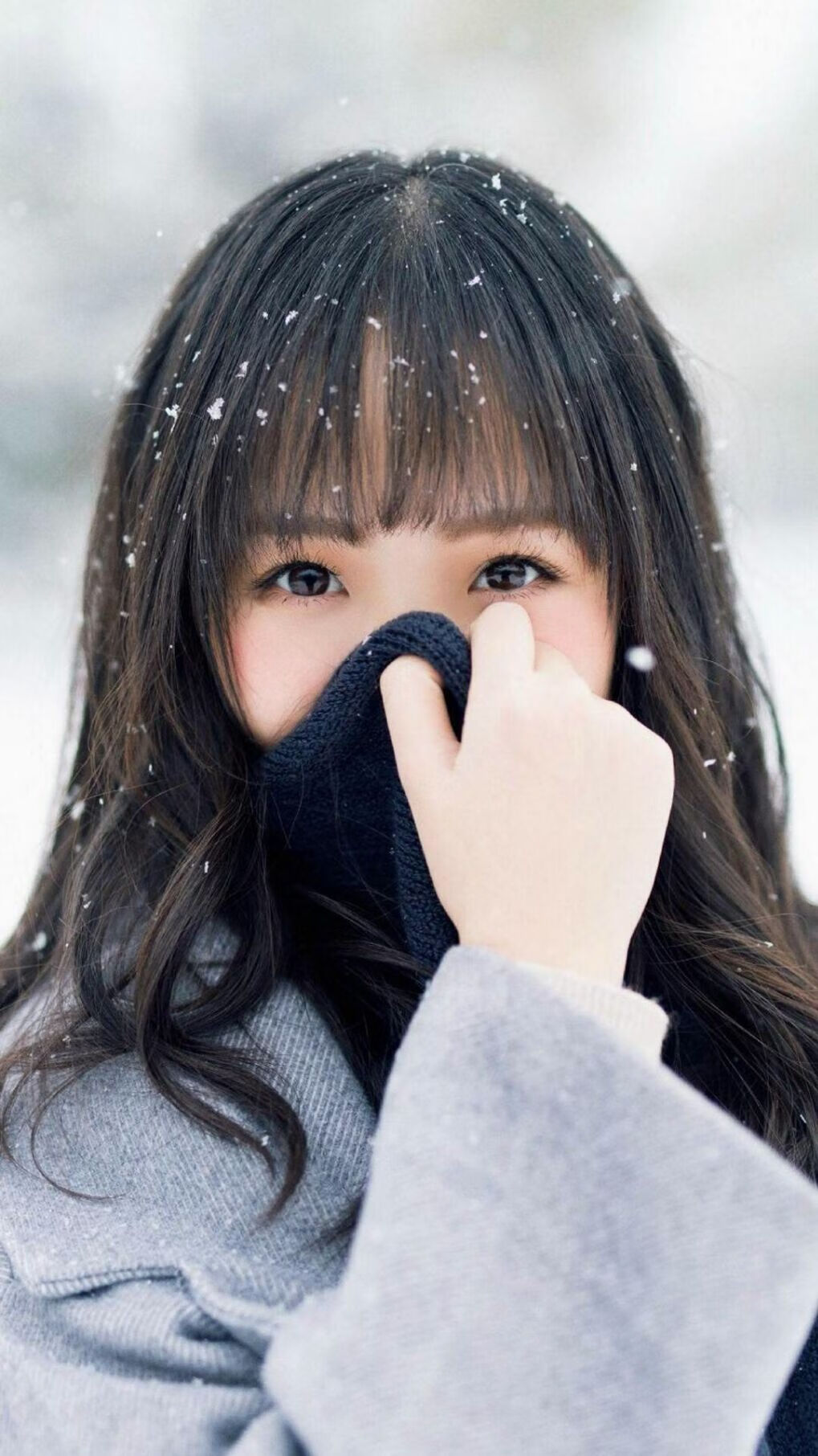 飓风席卷德黑兰，卡马文加的巴黎风暴在波斯高原奏响凯歌