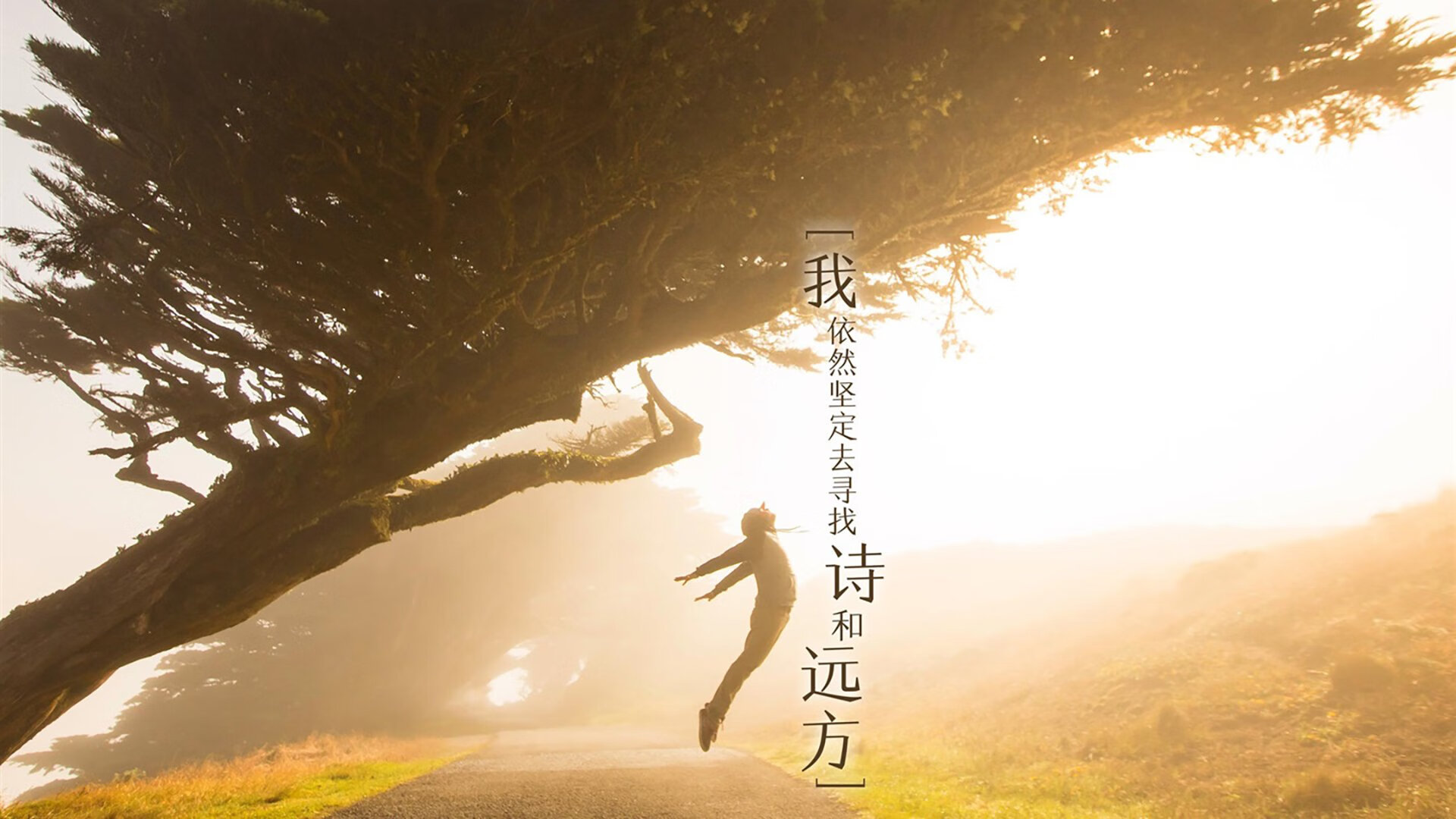 开云体育中国-跨洋验证，当碾压遇上关键先生—76人降维打击广厦，莫兰特用冷血终结书写唯一性