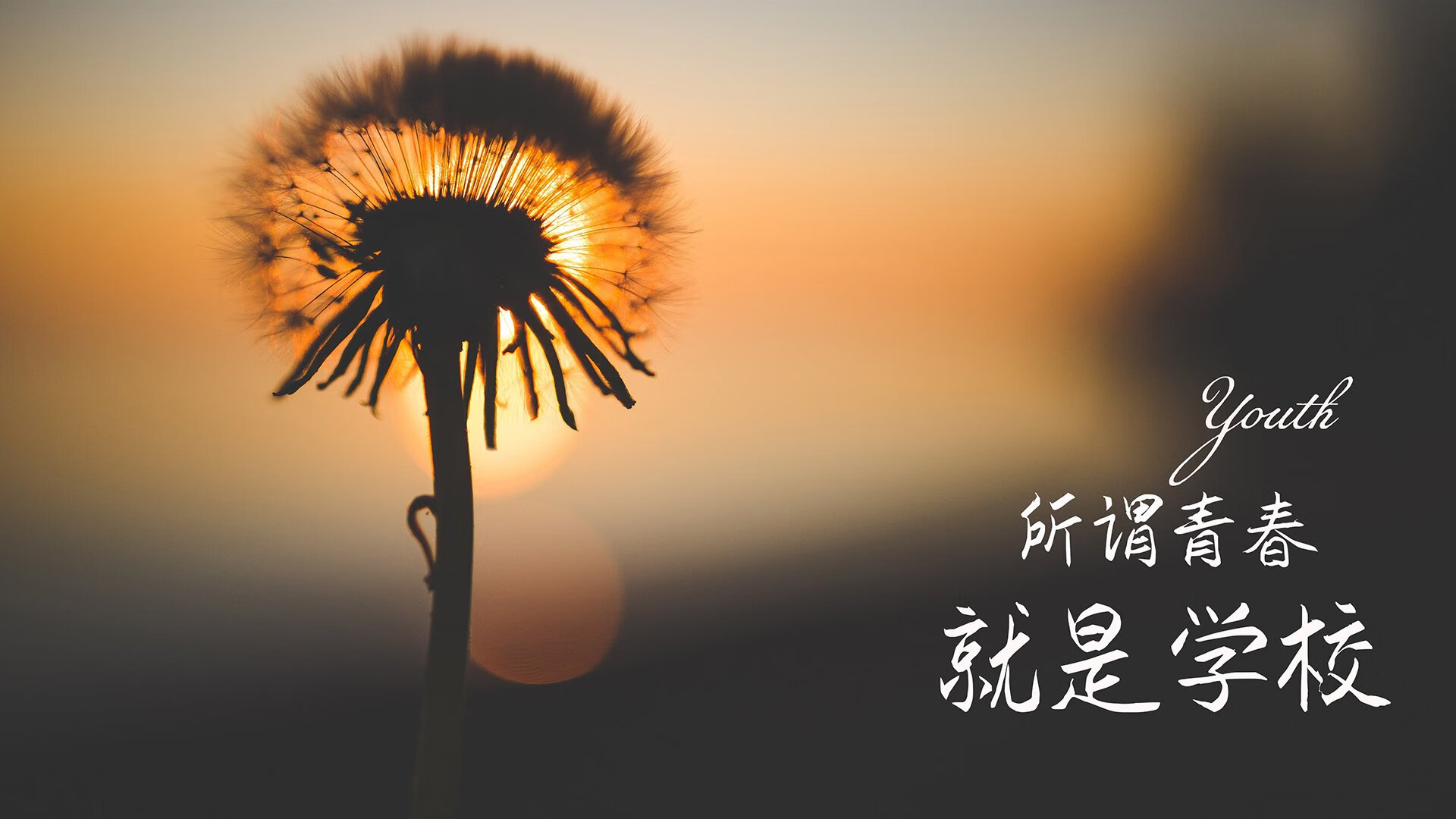 先为您奉上精心构思的标题,再展开正文