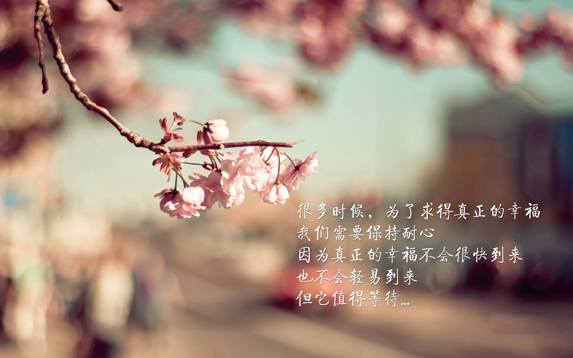 开云sport-墨尔本之夜，当铁律被改写，巴雷拉以唯一之名，刺破葡萄牙的黄金海